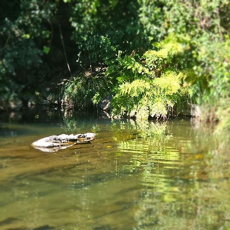 Pampihouse, Luxury Rustic House Near River Pampilhosa da Serra Εξωτερικό φωτογραφία