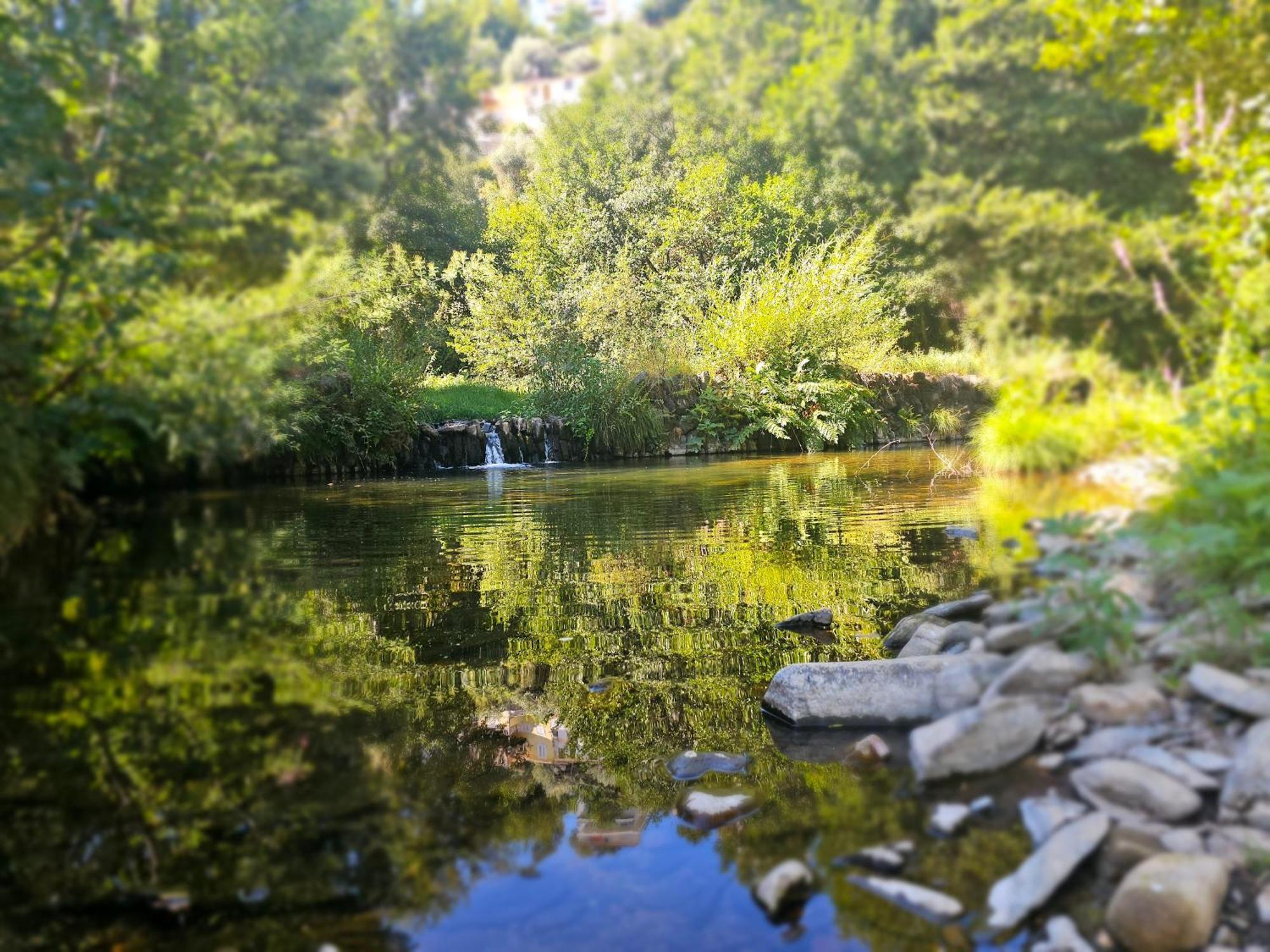 Pampihouse, Luxury Rustic House Near River Pampilhosa da Serra Εξωτερικό φωτογραφία