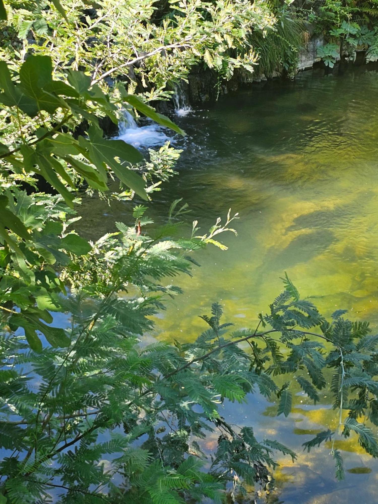 Pampihouse, Luxury Rustic House Near River Pampilhosa da Serra Εξωτερικό φωτογραφία